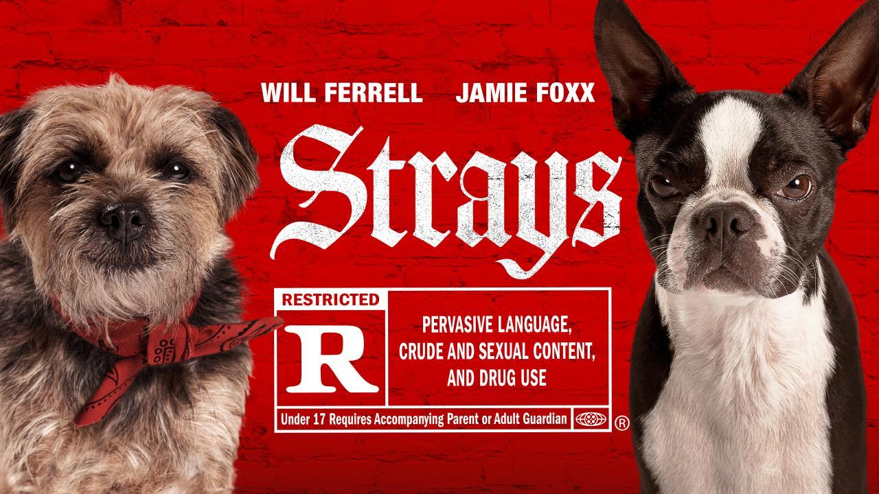 فيلم Strays 2023 مترجم كامل اون لاين