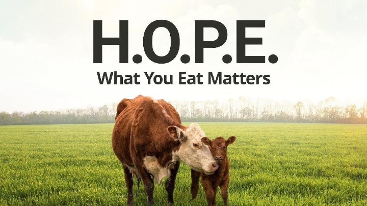 فيلم H.O.P.E What You Eat Matters 2016 مترجم كامل اون لاين