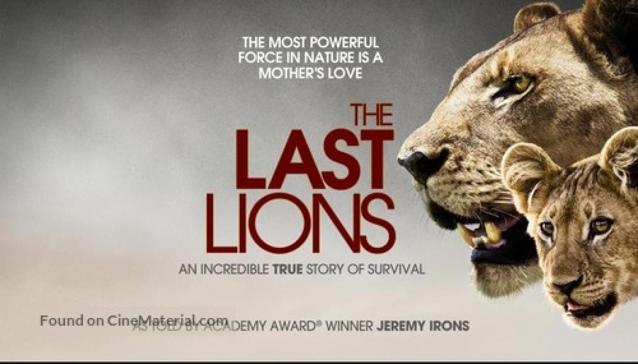 فيلم The Last Lions 2011 مترجم كامل اون لاين