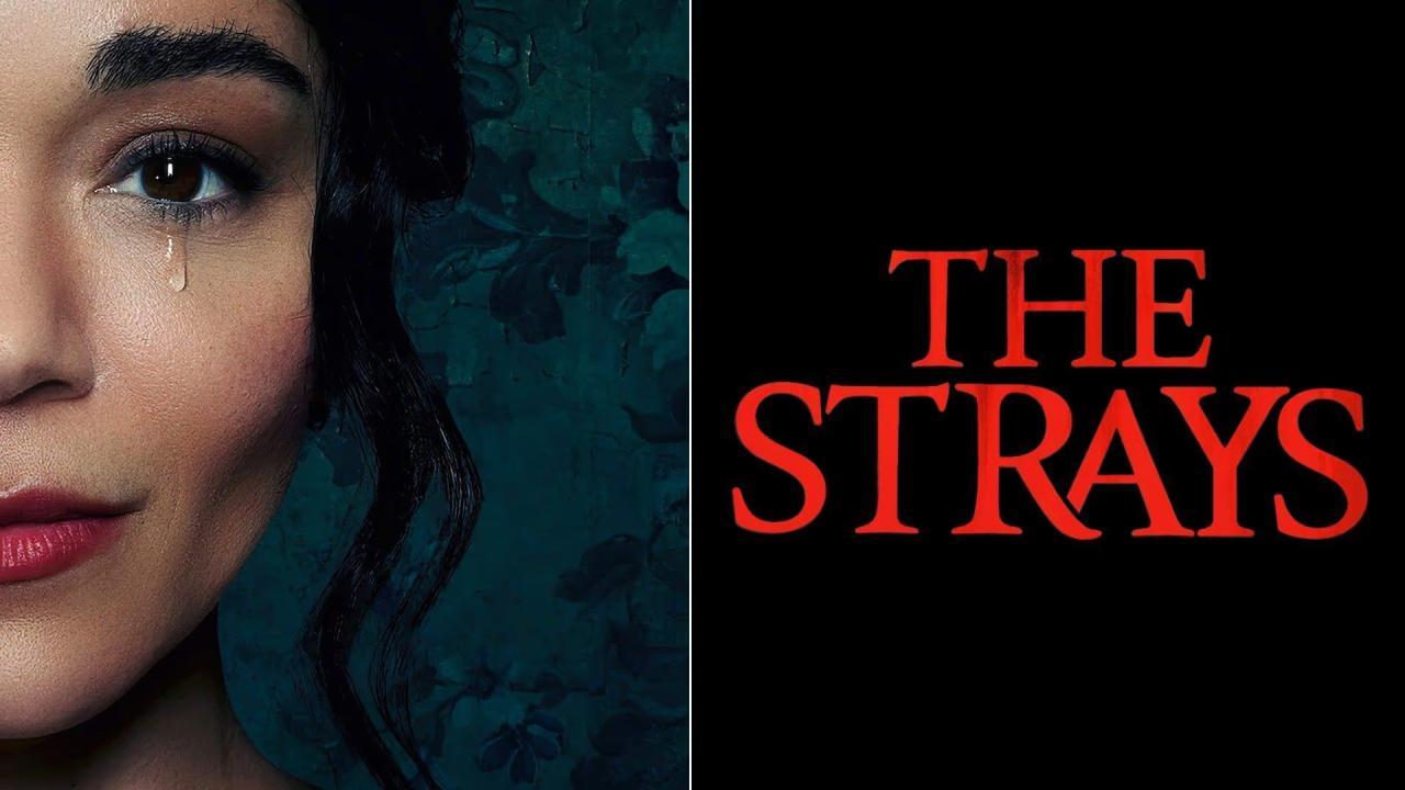 فيلم The Strays 2023 مترجم كامل اون لاين